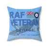 RAF Veteran